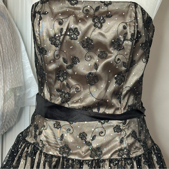 Cache Fairy Grunge Black Lace Strapless Mini Dress - Picture 6 of 6